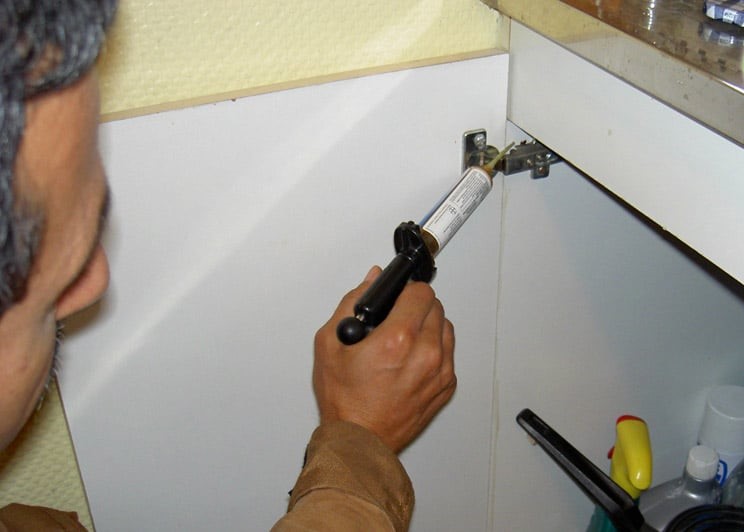 hygiene-office-desinsectisation-018